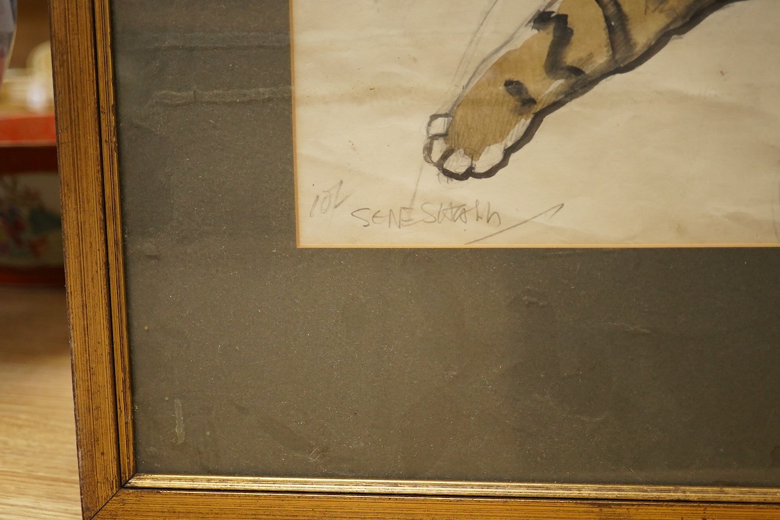 20th century school, study of a tabby cat, indistinctly inscribed in pencil, watercolour, 23 x 33cm